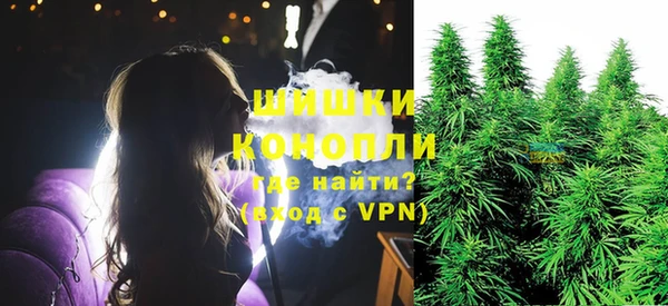 тгк Бронницы