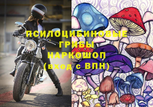тгк Бронницы
