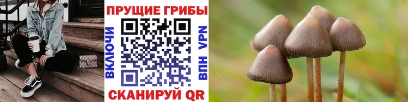 Галлюциногенные грибы Magic Shrooms  маркетплейс официальный сайт  Якутск 